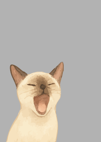 Siamese cat holiday02 white