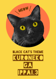 many many black cats 3