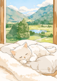 悠閒寵物日常：白貓 - 02