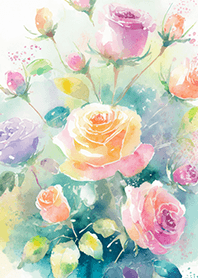 Beautiful rose flower(R4818)