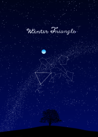 Winter Triangle