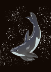 Whale and Friends.