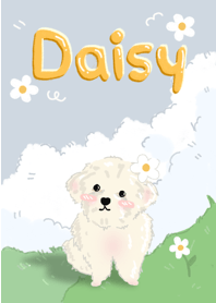 เจ้าเดซี่