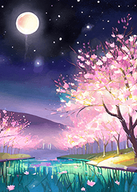 Beautiful night cherry blossoms#2320