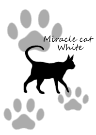 Miracle cat white