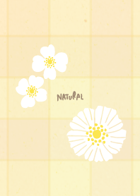 Check Pretty white flowers21 from Japan