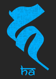 BONJI [ha] BLACK BLUE (0163