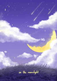 In the moonlight