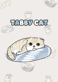 creamtabby3 / light beige