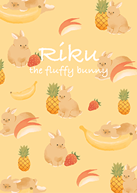 Riku the fluffy bunny