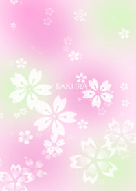 Fluffy Sakura cherry blossoms