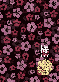 黒梅 -ume-