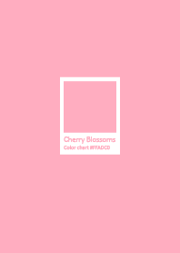 Pure gradient / Cherry Blossoms