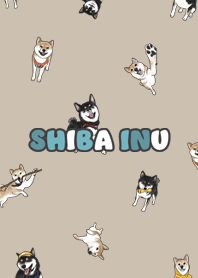 shibainu3 / tan