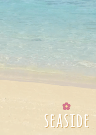 海濱 花'黃色'