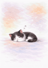 Tuxedo Cat Pink Purple Gradient