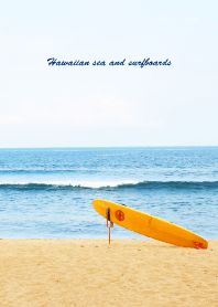 Hawaiian sea and surfboards 28