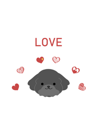 Black poodle-love