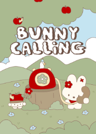 bunny calling me
