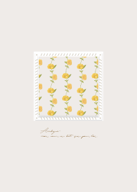Window Grilles :: Hibiscus rosa