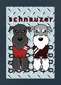 cool schnauzer