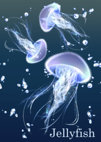 海の泡とクラゲ