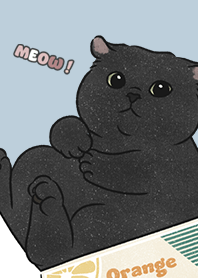 neko single18 / blue