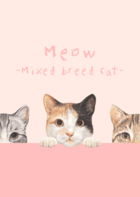Meow - Mixed breed cat 01 - FLOWER PINK