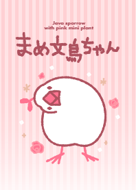 Java sparrow with pink mini plant