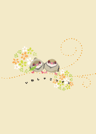 いわしゃこツイン