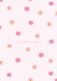 Gerbera daisy*