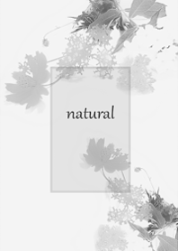 Add cosmos to your natural life4.