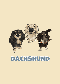 dachshund5 / pale yellow