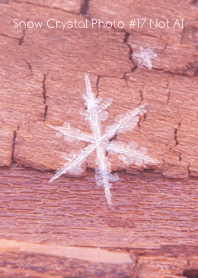 Snow Crystal Photo #17-22Not AI