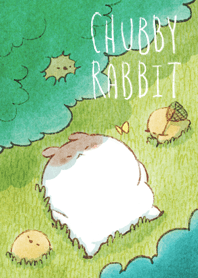 Chubby Rabbit-Travel