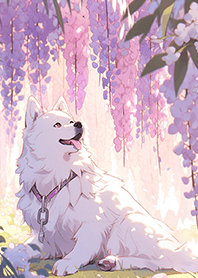 Happy White Dog in Wisteria JP
