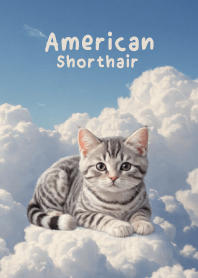 American Shorthair In The Sky Theme