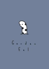 花園鰻 :blue gray