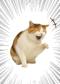 Simple Laughing Calico Cat.Vol.3