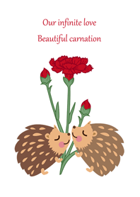 Hedgehog - good love carnation