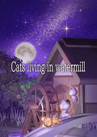 Cats living in watermill