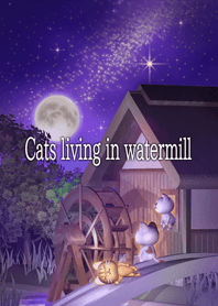水車小屋の猫