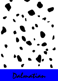 Dalmatian -Vividblue-