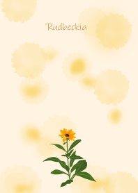 July's birth flower,Rudbeckia