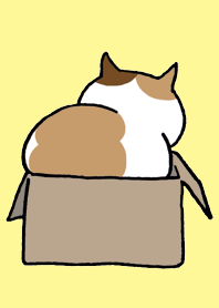 ブチ猫