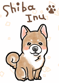 Shiba Inu is very cute!
