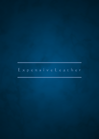 Expensive Leather-MEKYM 13