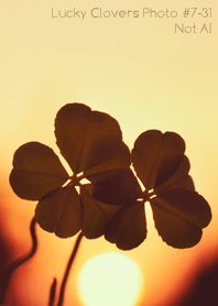 Lucky Clovers Photo#7-31Not AI