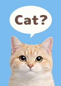 Gato Simples 2 Blue 05