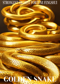 Golden Snake Lucky 39